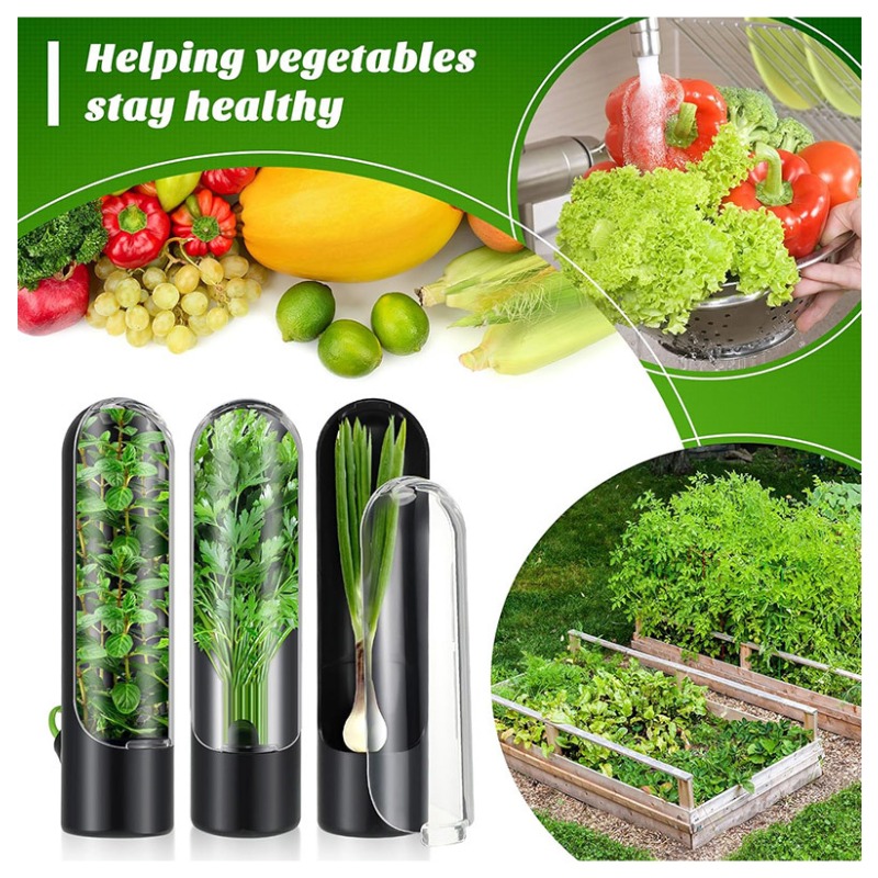 1/2/3 Pezzi Contenitore per la - Herb Keeper Bottle recensione e prezzo