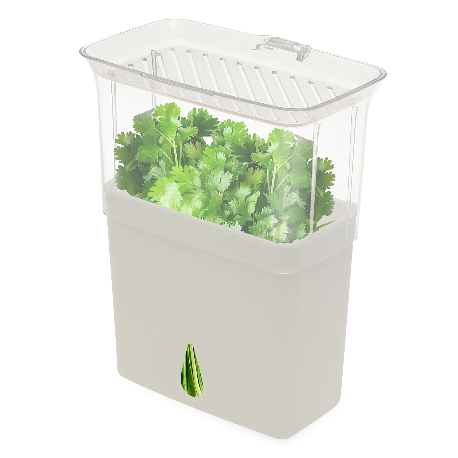 Contenitore Trasparente per la - Herb Keeper Bottle recensione e prezzo